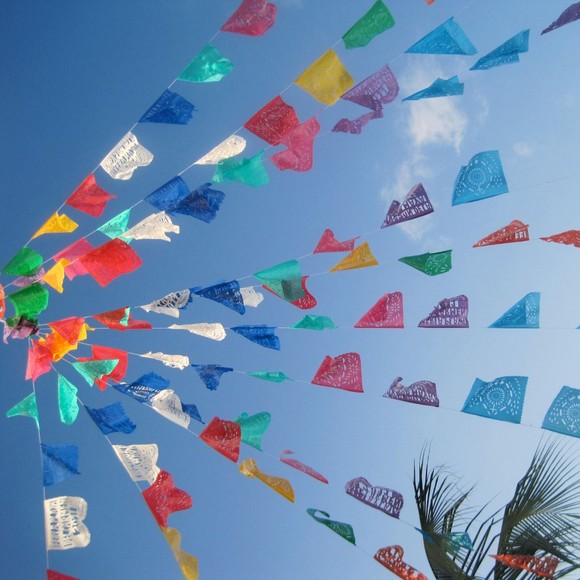 Meet your Posher, Shana - Picture 1 of 1